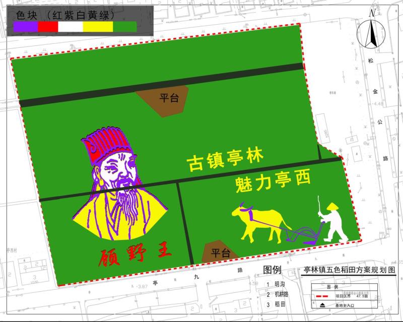 北斗卫星神定点，五彩水稻绘传奇